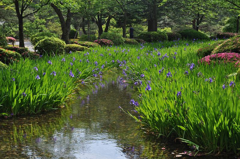 foto_20150531_1501_01.jpg - [de][en]