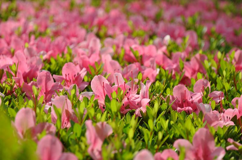 foto_20150531_1512_03.jpg - [de][en]