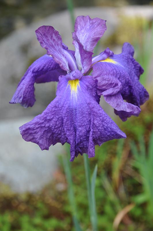 foto_20150531_1518_04.jpg - [de][en]