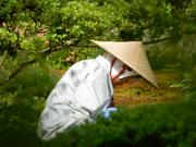 foto_20150531_1520_01