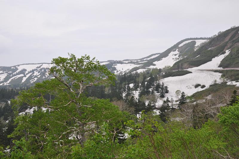 foto_20150603_0949_03.jpg - [de][en]