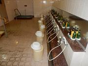 foto_20150603_0739_03