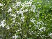 foto_20150603_1115_01