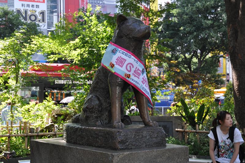 foto_20150604_1423_02.jpg - [de][en]