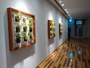 IMG_20150605_173539761