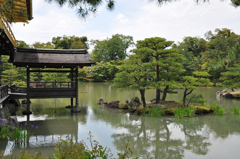 foto_20150525_1133_01.jpg - [de]Kinkakuji - der goldene Tempel.[en]Kinkakuji - the Golden Pavillion.