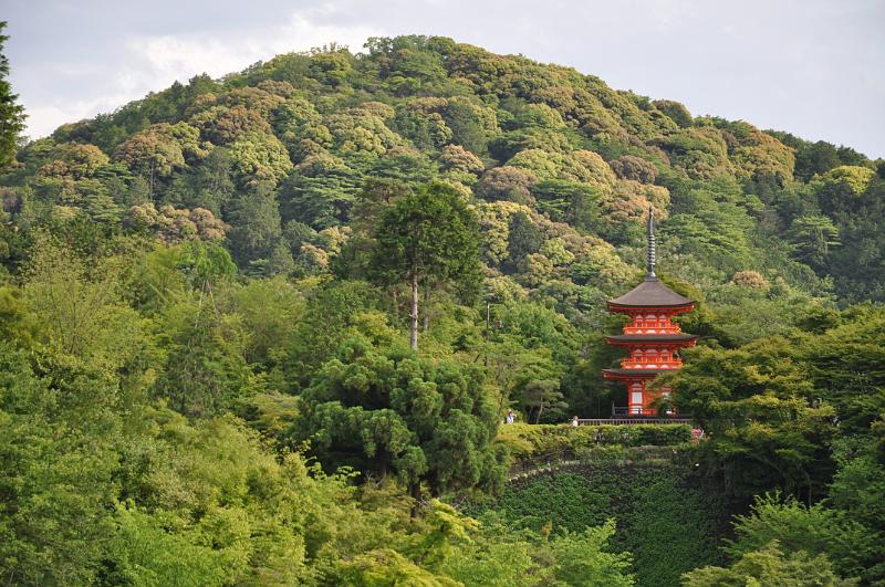 foto_20150525_1708_01.jpg - [de]Kiyomizudera Tempel.[en]Kiyomizudera temple.