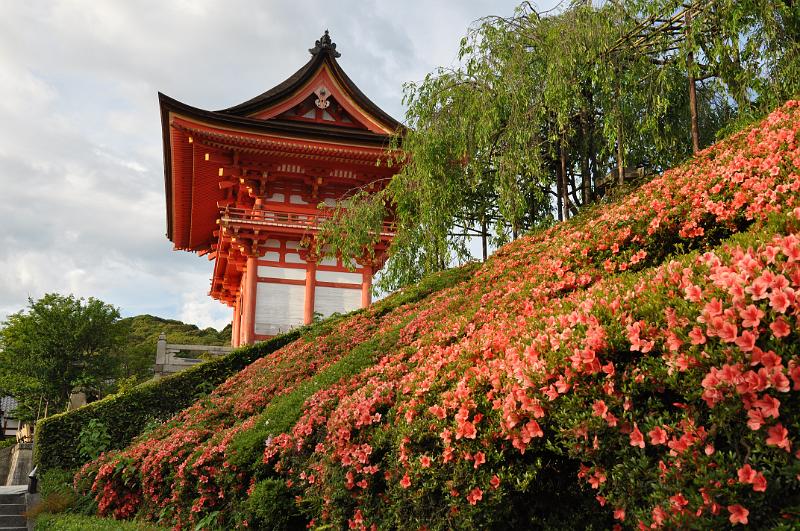 foto_20150525_1757_01.jpg - [de]Kiyomizudera Tempel.[en]Kiyomizudera temple.