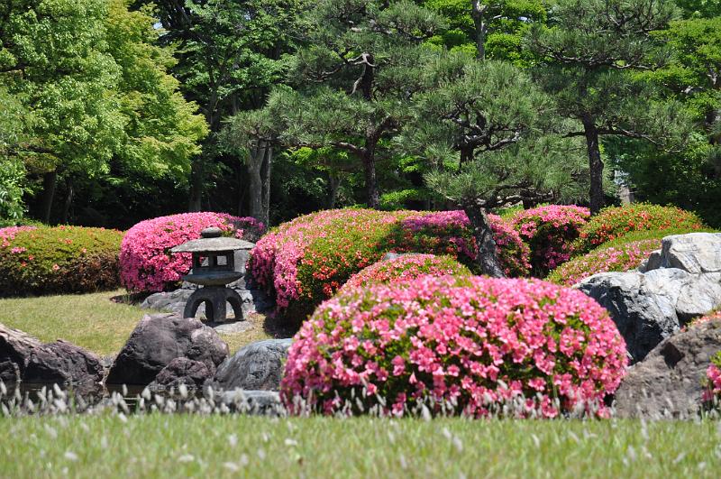 foto_20150526_1154_03.jpg - [de]Garten beim Nijo Schloss.[en]Garden at Nijo castle.