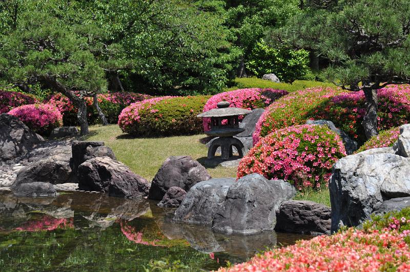 foto_20150526_1155_02.jpg - [de]Garten beim Nijo Schloss.[en]Garden at Nijo castle.