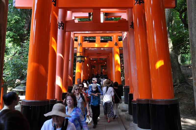 foto_20150527_1433_03.jpg - [de]Fushimi-Inari Schrein.[en]Fushimi Inari shrine.