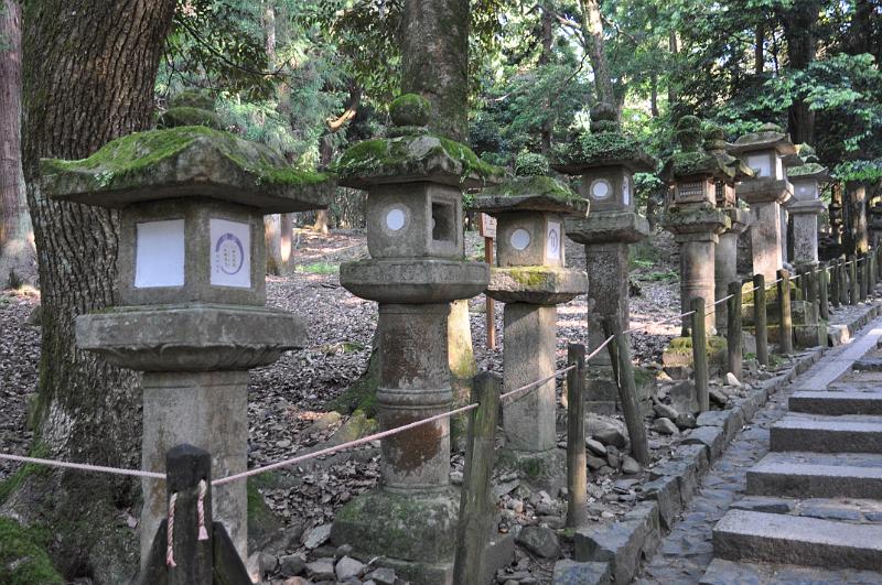 foto_20150526_1643_02.jpg - [de]Kasuga-Taisha.[en]Kasuga-Taisha.