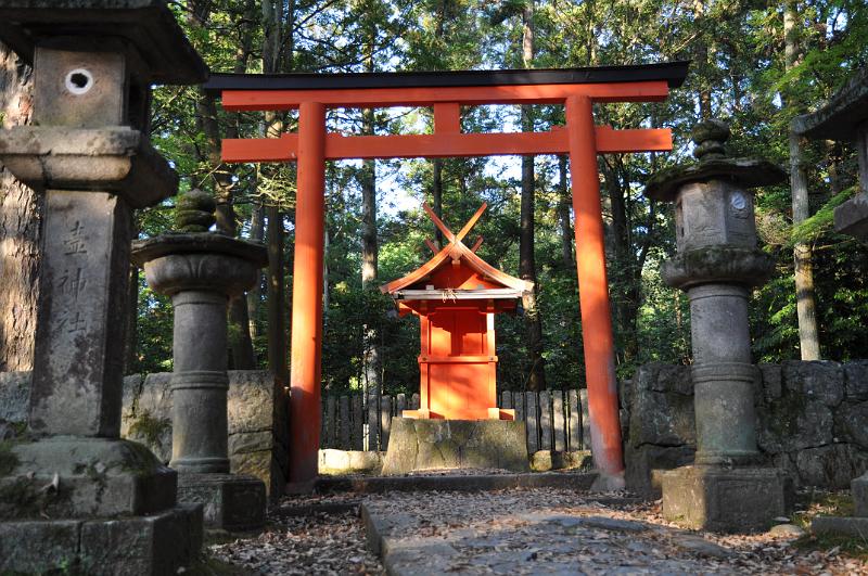 foto_20150526_1741_05.jpg - [de]Kasuga-Taisha.[en]Kasuga-Taisha.