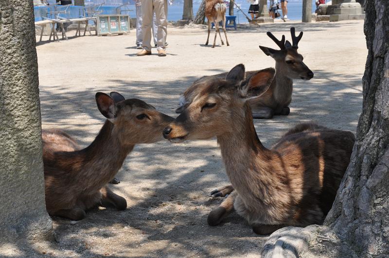 foto_20150529_1128_03.jpg - [de][en]