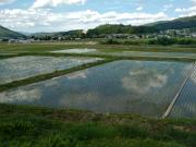 IMG_20150530_135511770