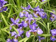 foto_20150531_1253_03